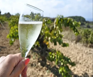 Penedès Wineries Day Trip